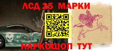 амф Заволжье